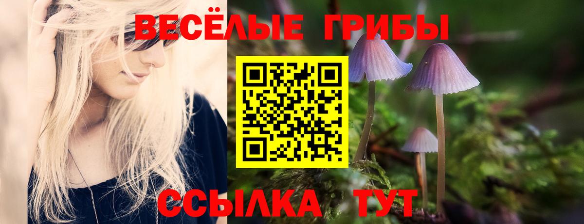 Псилоцибиновые грибы Cubensis  Вход с VPN  Галлюциногенные грибы прущие грибы  Миллерово 